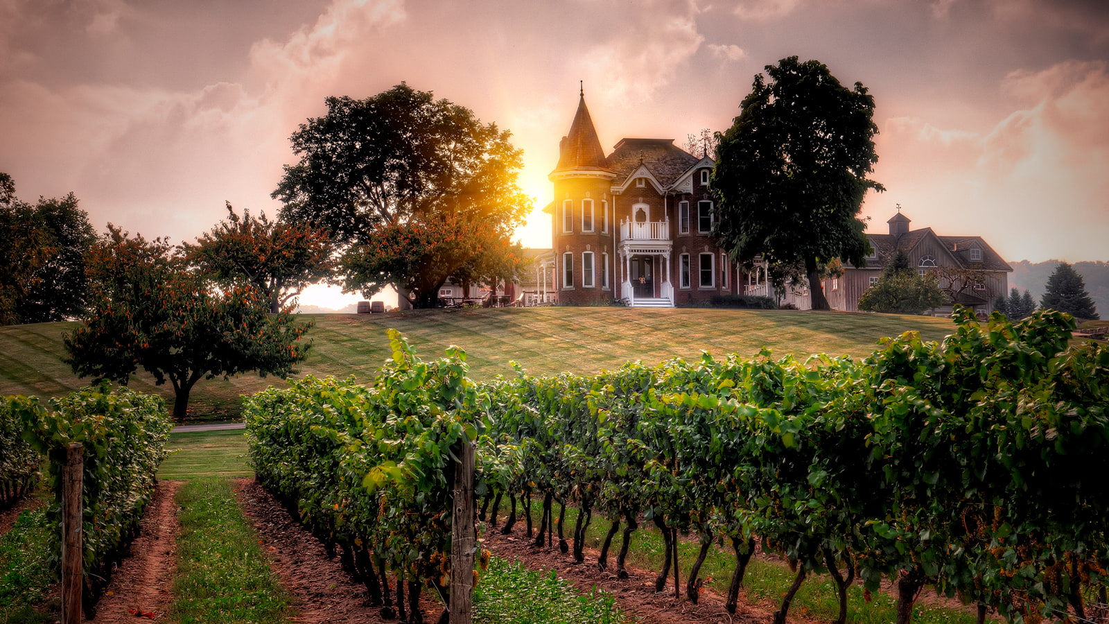 Peninsula Ridge Estates Winery wedding and event venue in Niagara Region