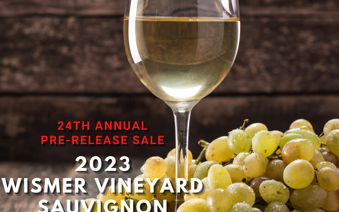 24th Annual Pre-Release of our 2023 Wismer Vineyard Sauvignon Blanc