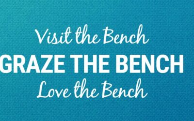 Love the Bench 2025