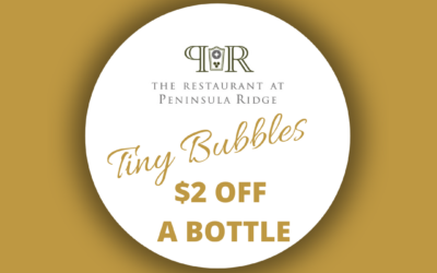 Limited Time Offer! – Tiny Bubbles is $2 off