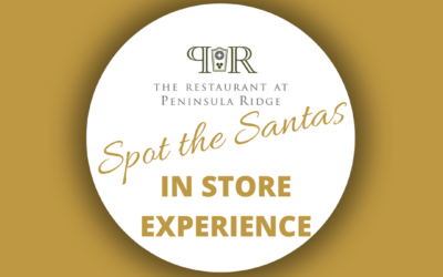 Spot the Santa- In Store Experience